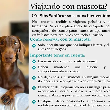 Апартаменты Sibssanlucar Maritimo-1ª Linea De Playa *